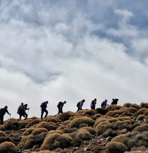 Ait Bougmez to Megdaz Trek: Mgoun Massif & Tassaout Valley Expedition