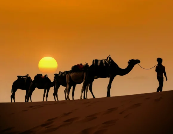 mehdi-el-marouazi-nqqH7np9JGk-unsplash