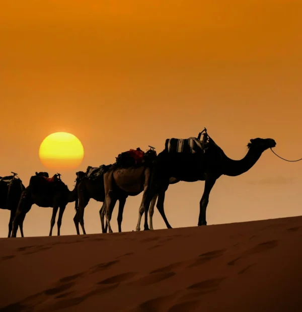 Morocco Grand Adventure Tour: 5-Day Sahara Desert, Kasbahs, Atlas Mountains & Essaouira Journey